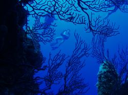 West side of Glovers Reef. by Martin Spragg 